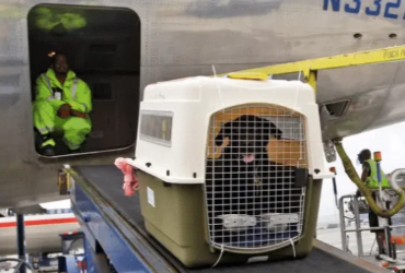 nordsafe5 nordsafelogistics